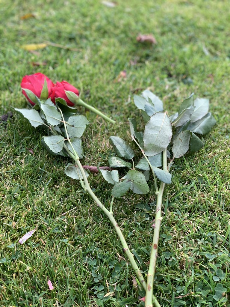 Remembering Penny share image