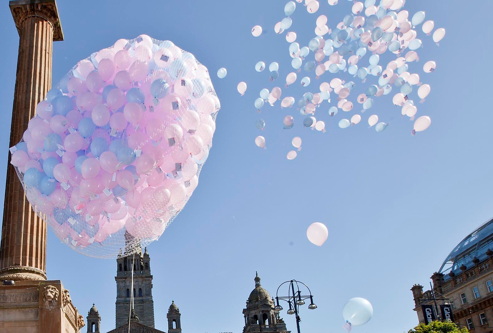 Welly Waddle Week Virtual Balloon Release share image