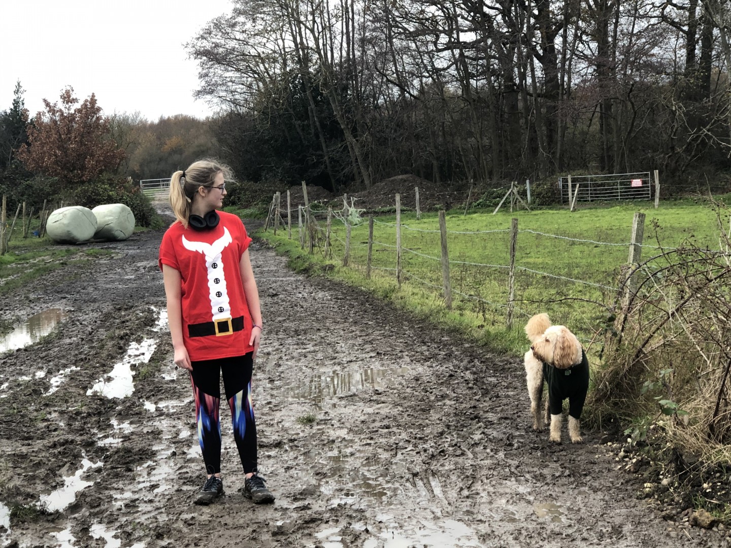 Phoebe’s 5k virtual Santa Run share image