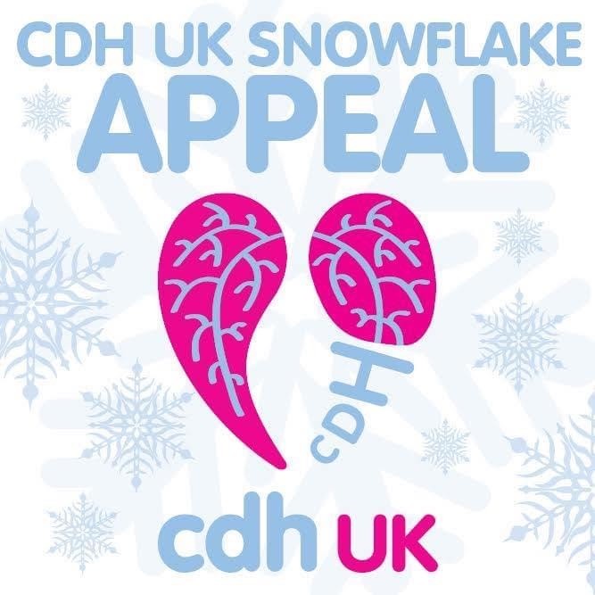 CDH UK Snowflake Appeal 2020 share image