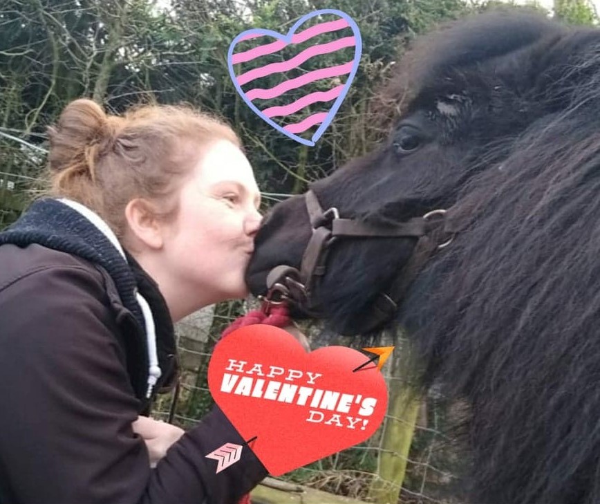 A Very Woodlands Valentine's share image