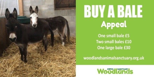 Buy a Bale Appeal share image
