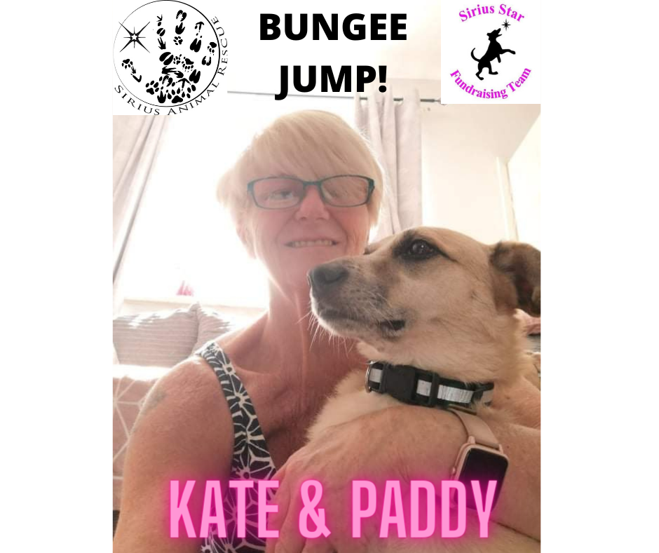 Kates Bungee Jump For Sirius Animal Rescue share image