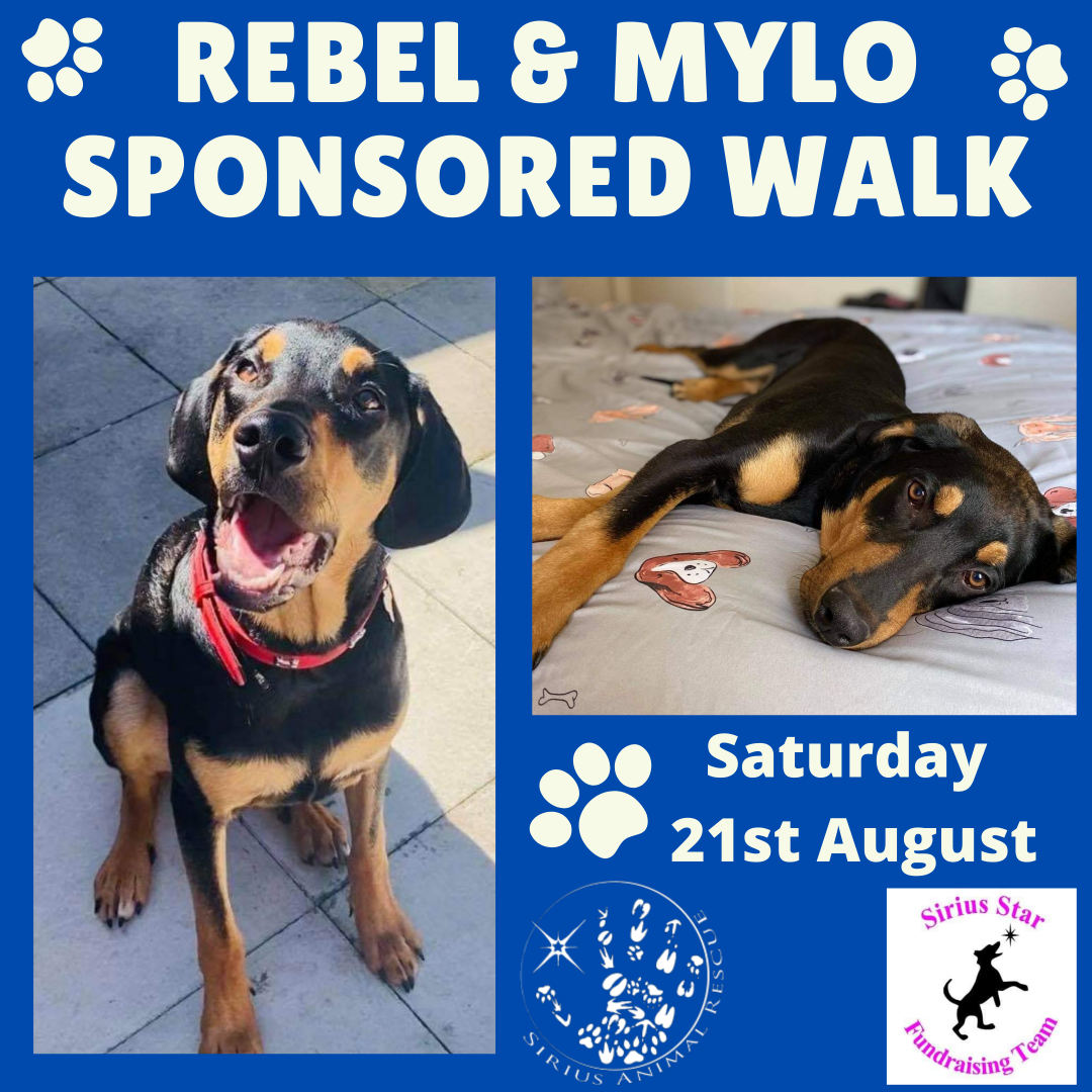 Rebel & Mylo Sponsored Walk share image
