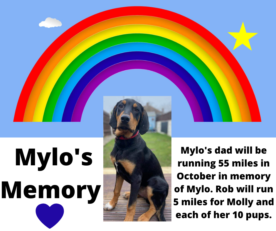 Mylo's Memory share image