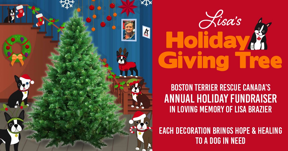 Lisa's Annual Holiday Giving Tree for BTRC! share image