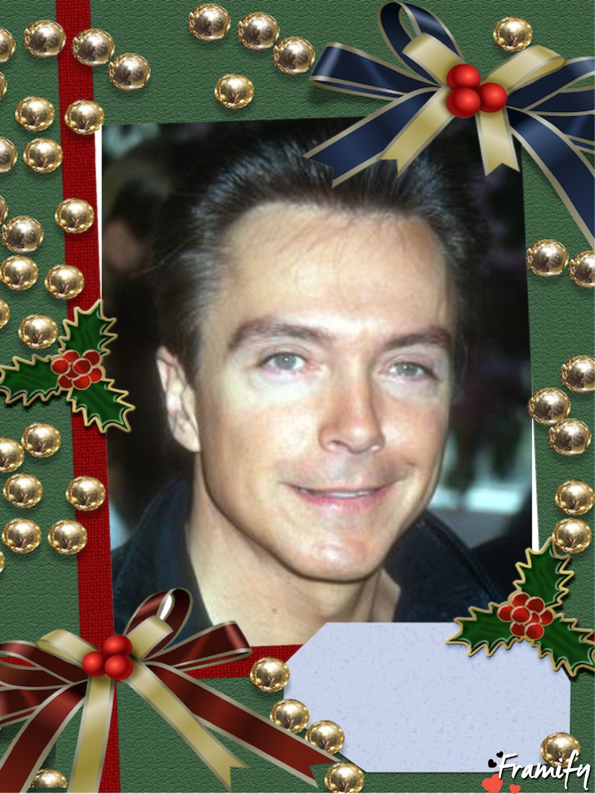In Memory of David Cassidy share image