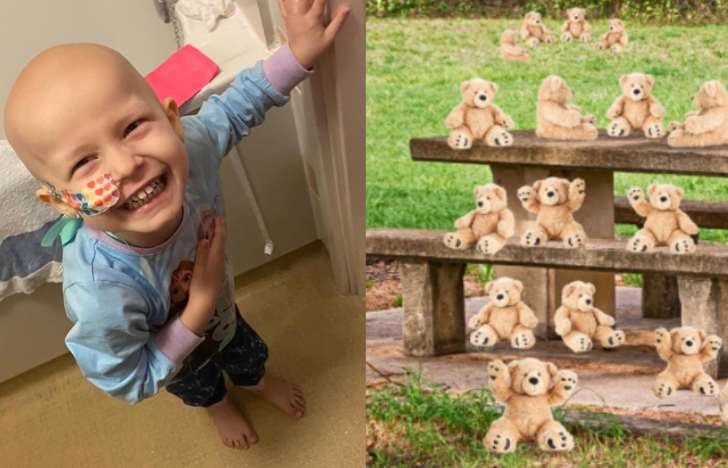 Kayla's Birthday Fundraiser share image