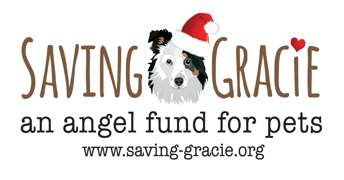 Saving Gracie logo