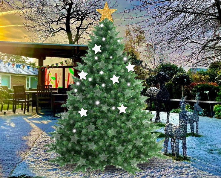 Helen & Douglas House Christmas Tree of Light share image