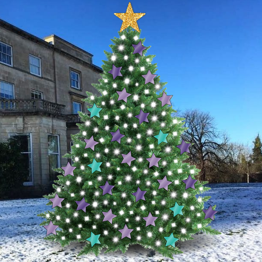 Bring the memory of your star home this Christmas share image