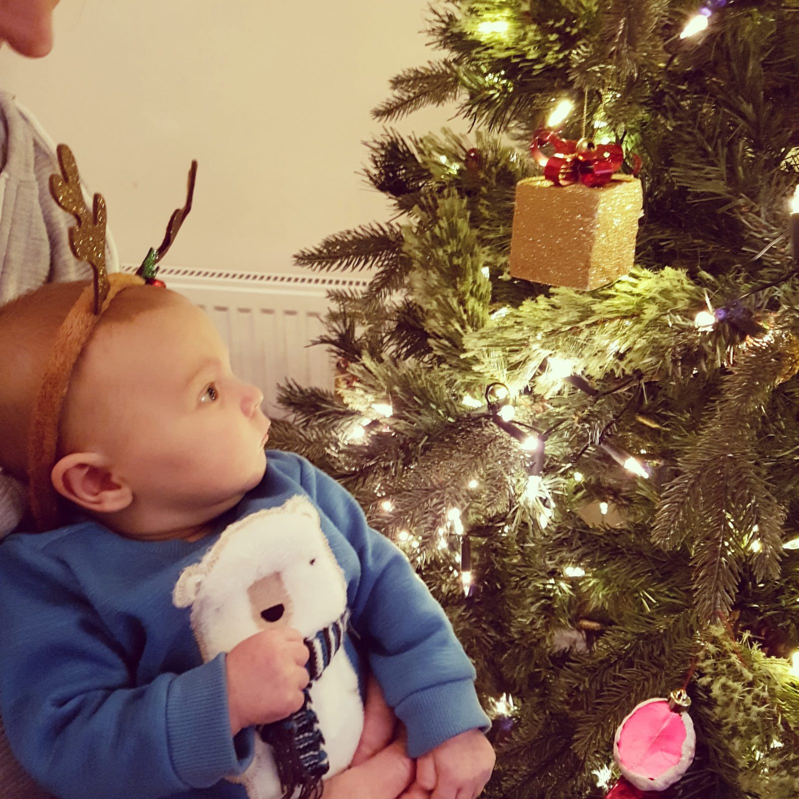 George's Christmas Wish Tree share image