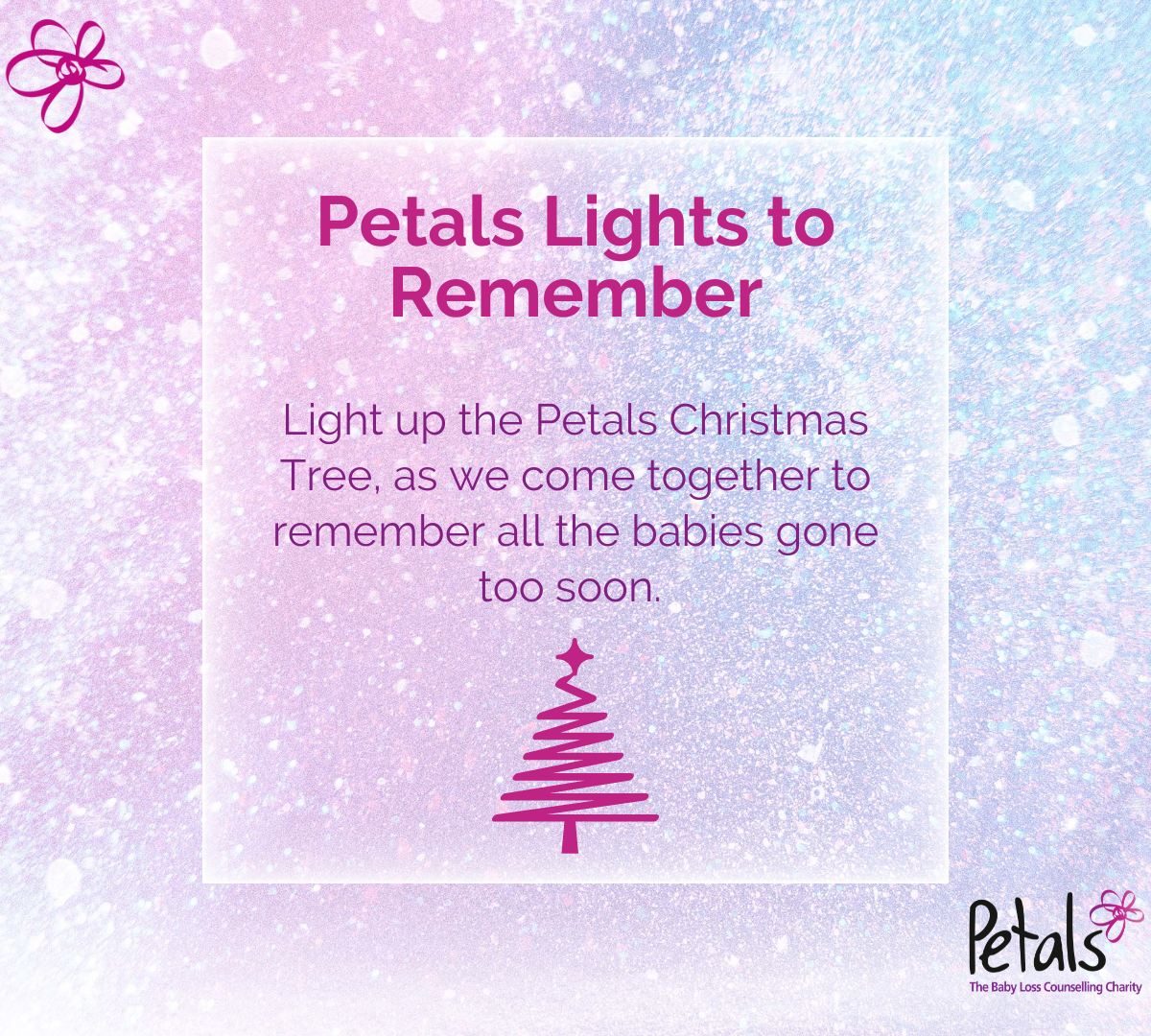 Petals Lights to Remember share image