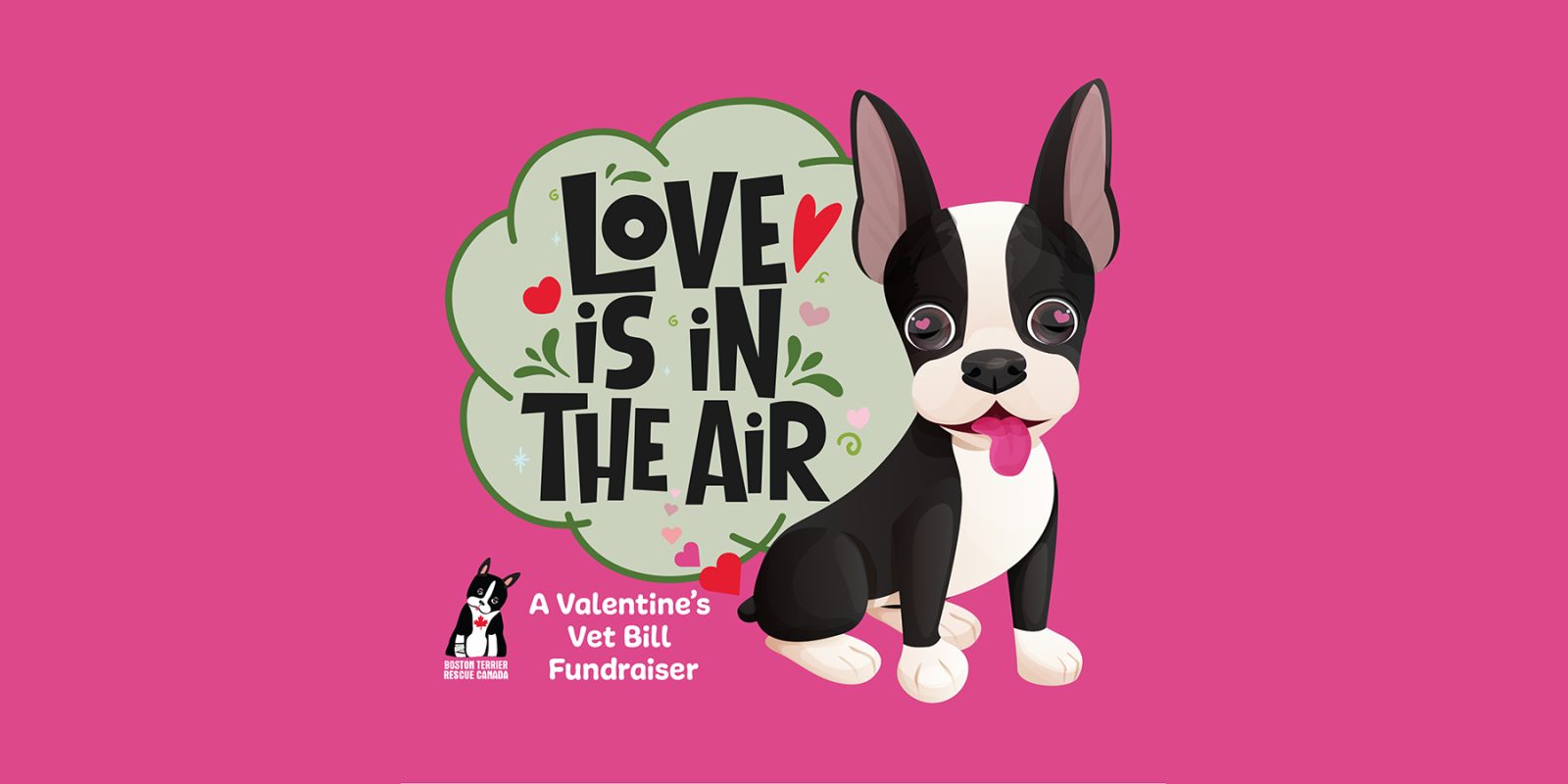 Love is in the Air! A Valentine's Vet Bill Fundraiser for BTRC. share image