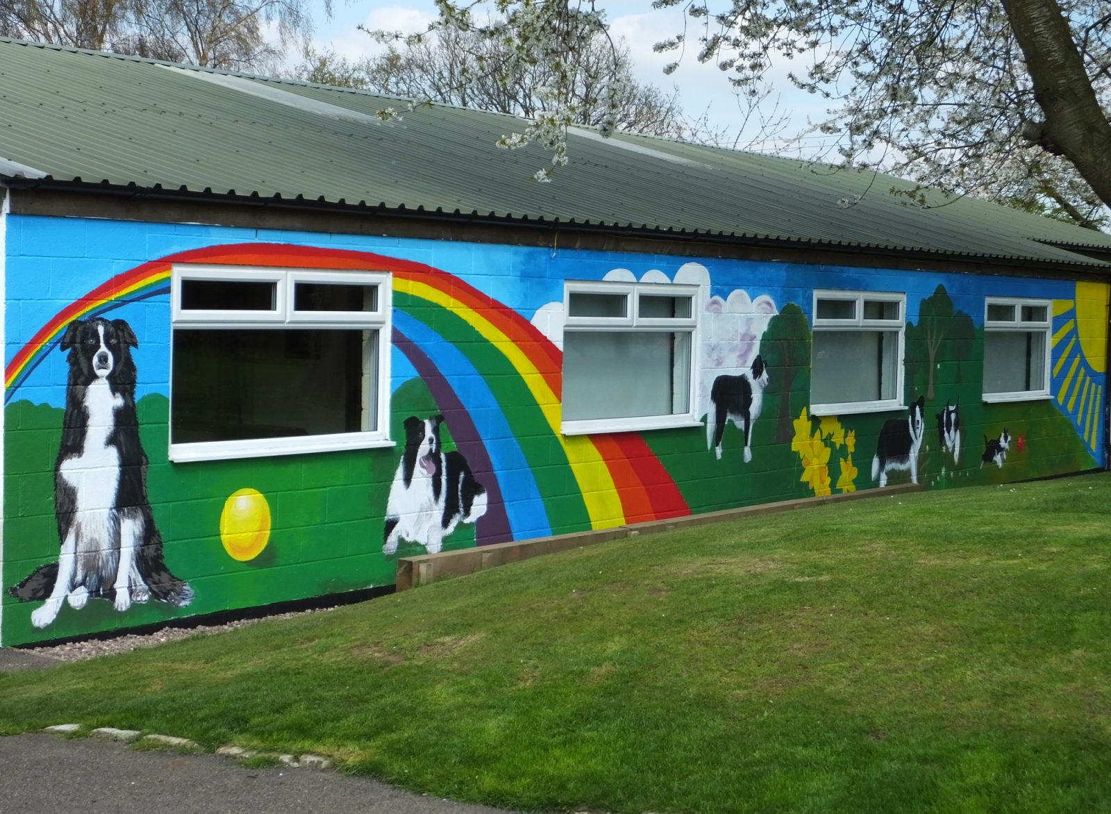 Border Collie Trust kennels