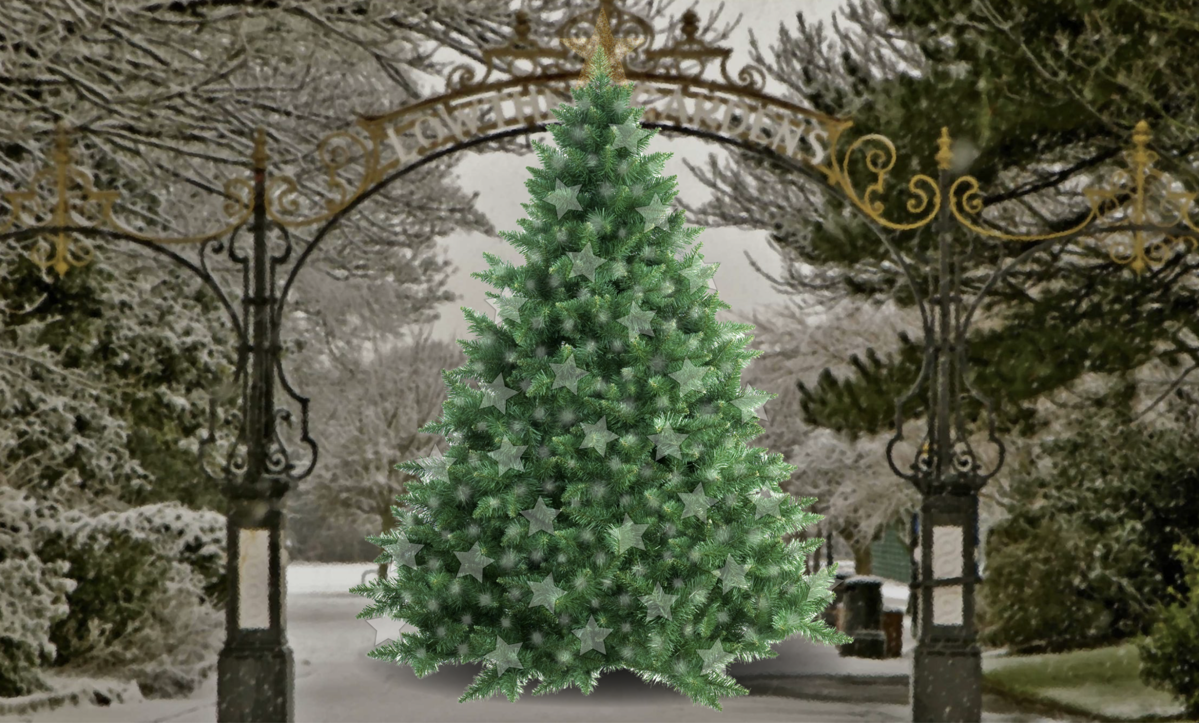 Light Up Lowther share image