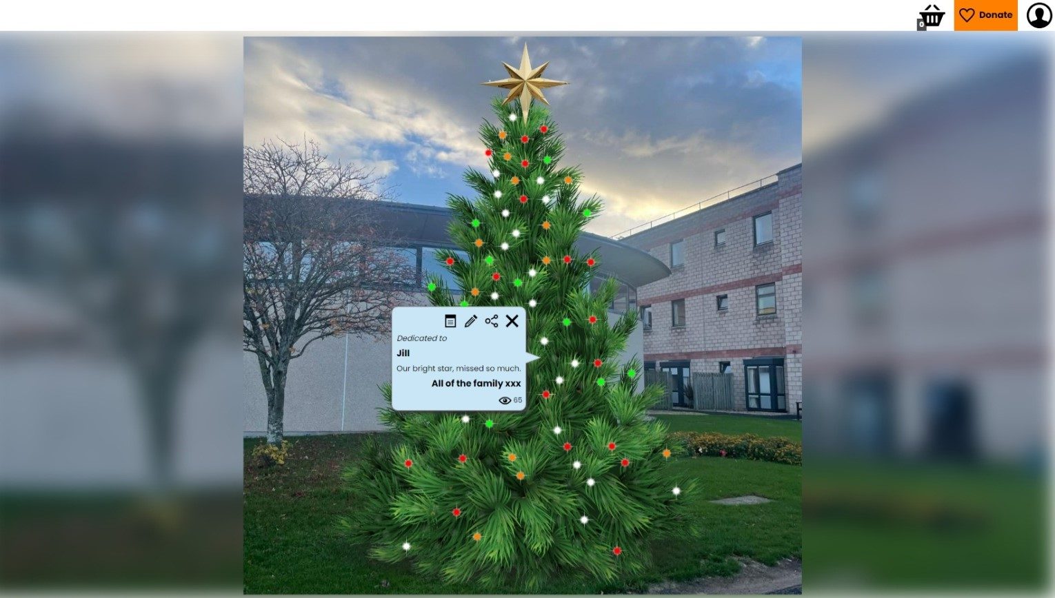 NHS Borders Health Charity Tree of Light 2025 share image