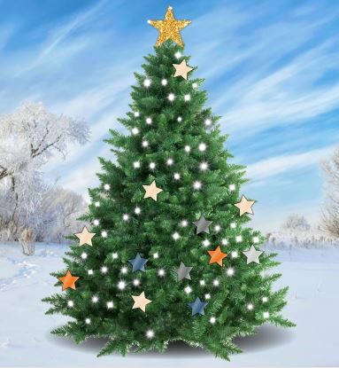 Donate a Christmas star for the Wilberforce Trust share image