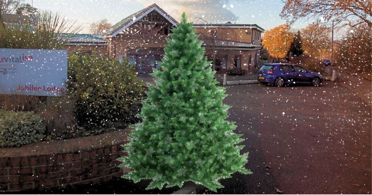 Revitalise Jubilee Lodge Give Me a Break Christmas share image