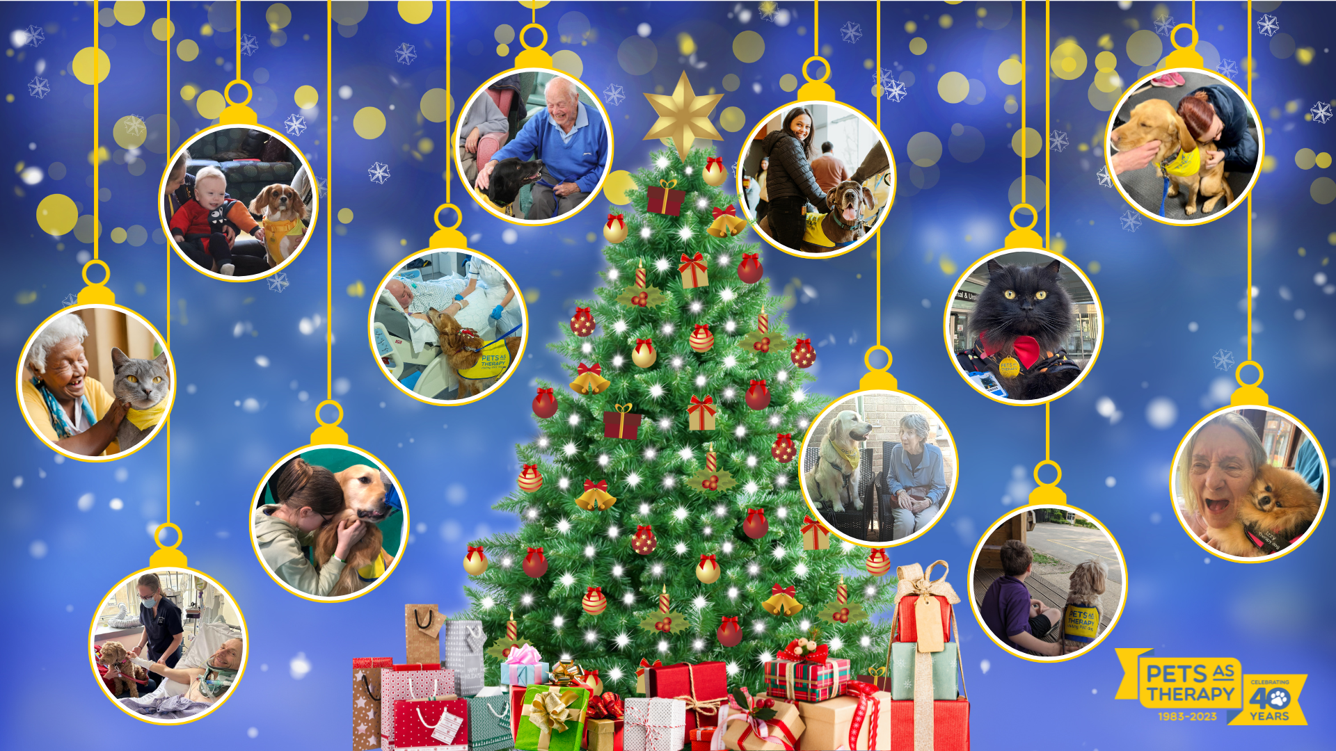 Decorated christmas tree surrounded by hanging baubles containing photos of smiley people during Pets As Therapy visits.
