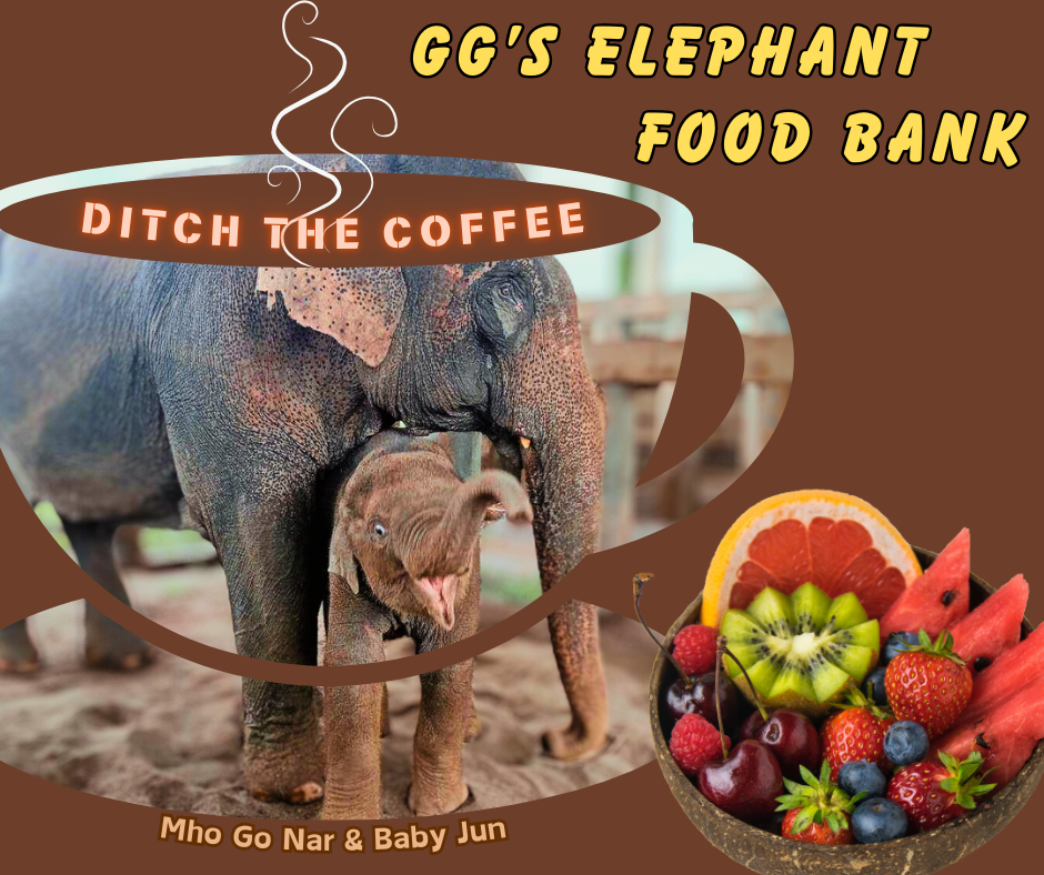 Ditch The Coffee share image