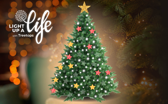 Light up a Life 2025 share image