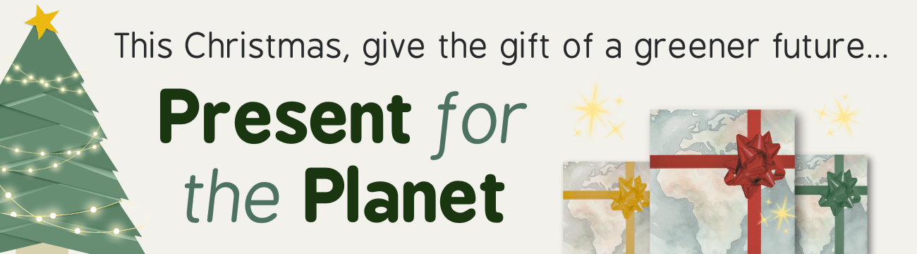 A Christmas tree with decorations and lights, with gifts to select for your donation.