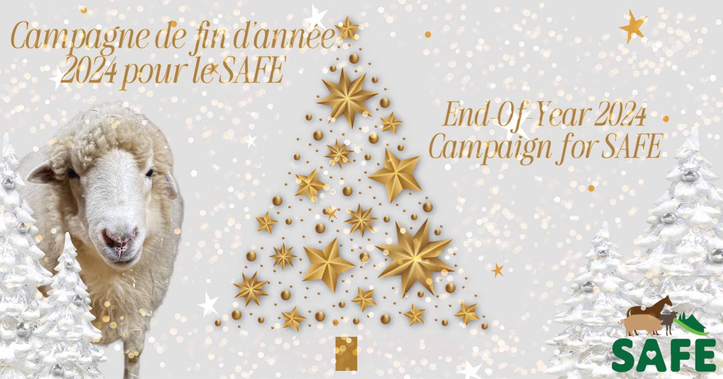 SAFE's Christmas tree share image