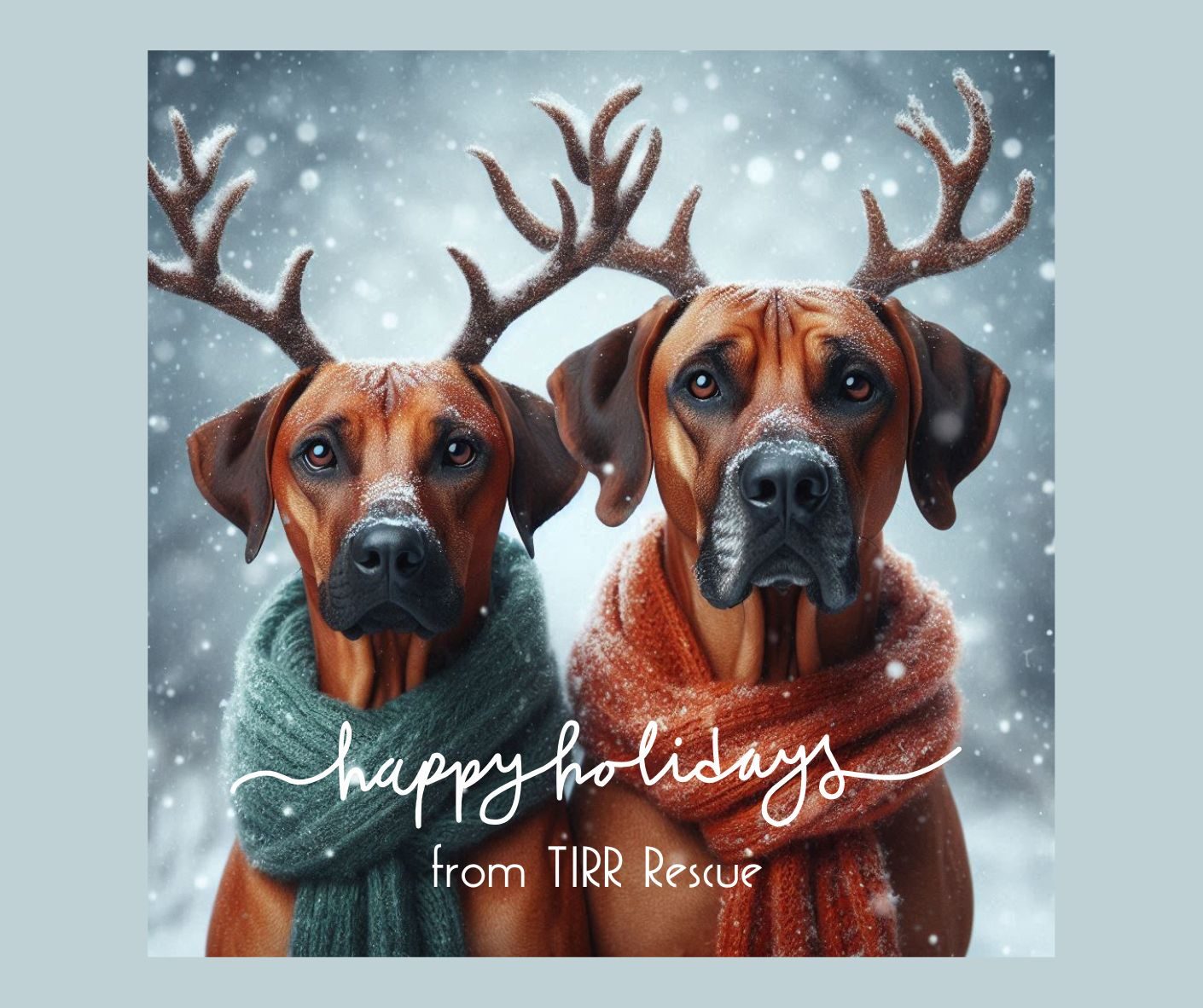 TIRR Rescue Holiday happiness fundraiser share image