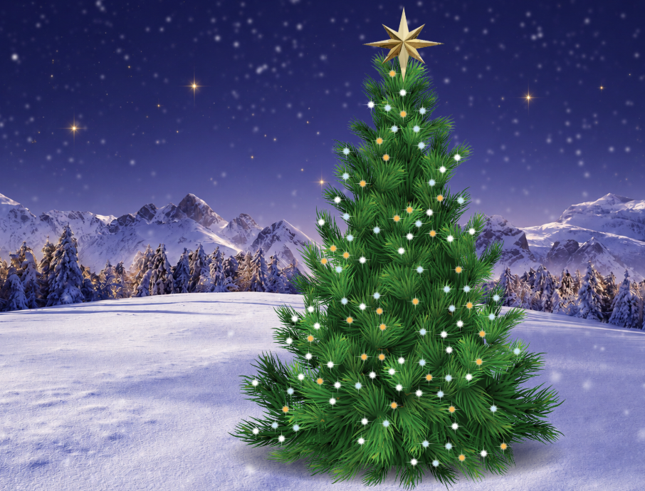 A night sky filled with stars surrounding a snow covered landscape, with a Christmas tree. Foyle Hospice 2026.