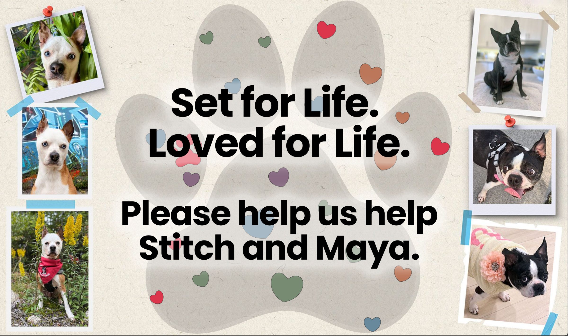 Set for Life. Loved for Life. Maya and Stitch. share image