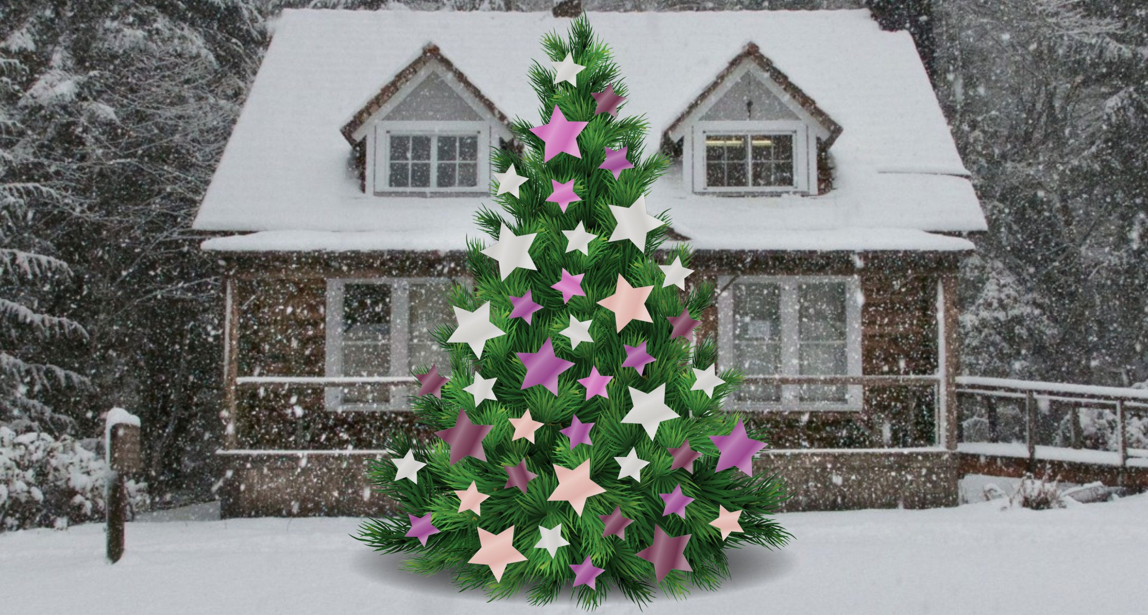Sue Lambert Trust Giving Christmas Tree share image