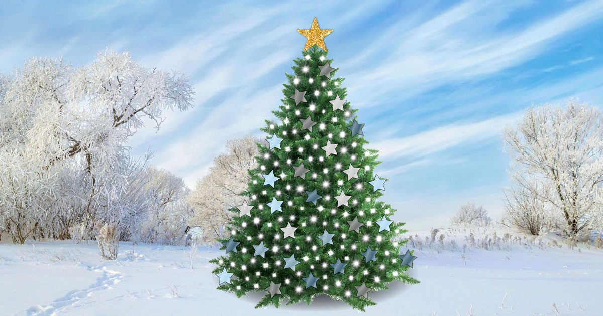 A Christmas tree in a snowy landscape, decorated with lights, colourful stars and a sparkly golden star on top.