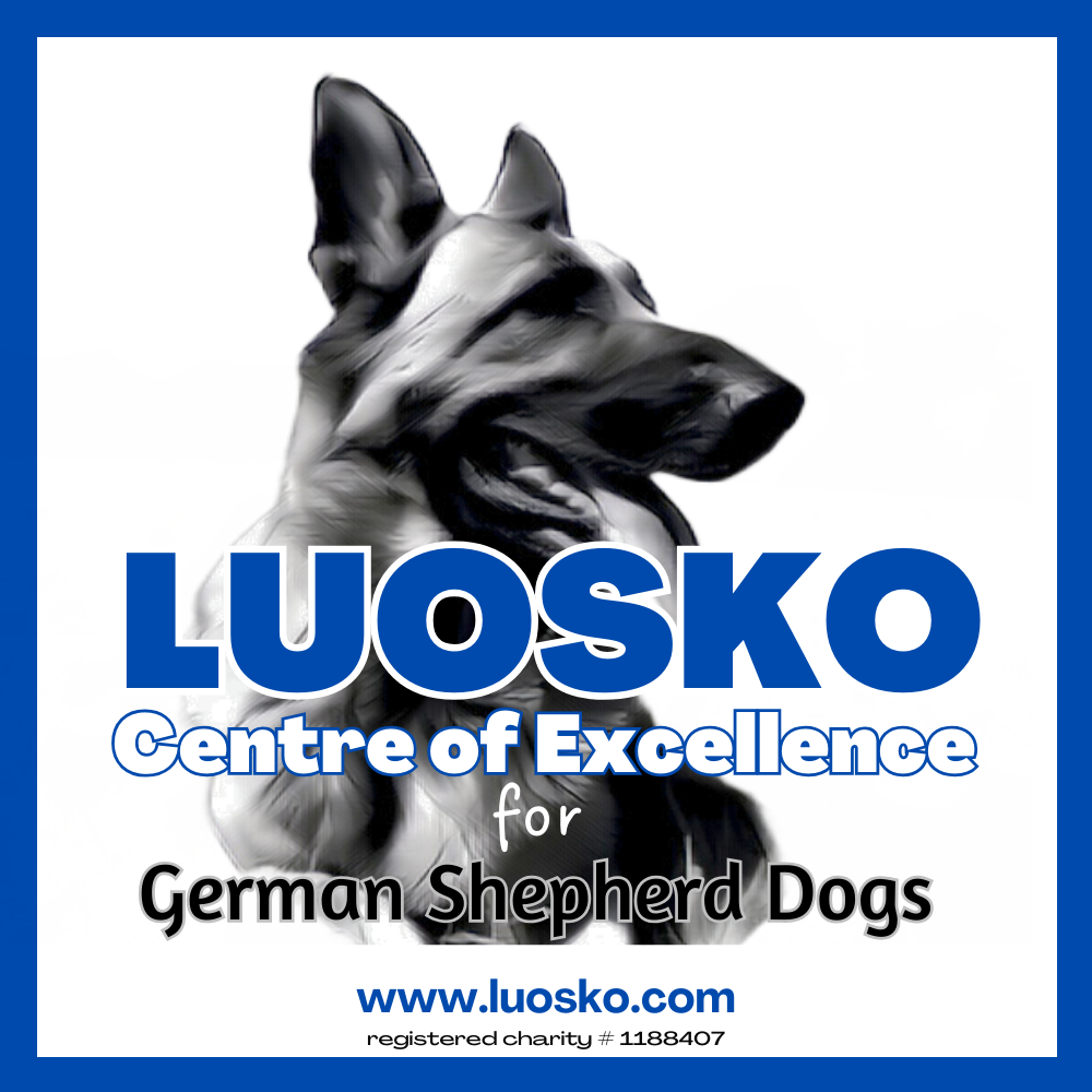 LUOSKO Sponsors Appeal share image