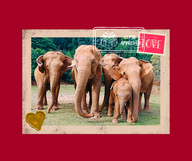 Send a little love & tenderness share image