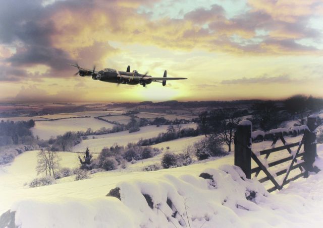 RAFBF Christmas Tree of Lights 2026 share image