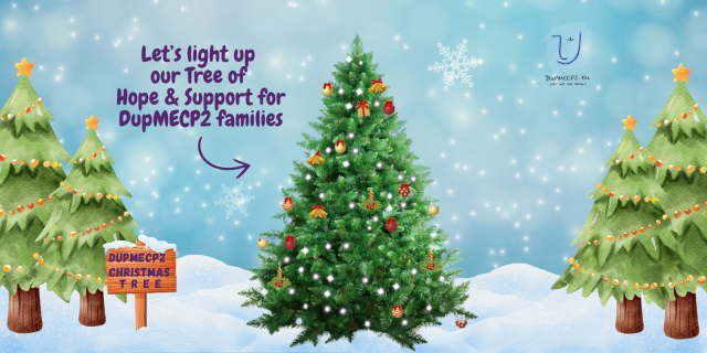 Light up Hope & Support for MDS Families share image