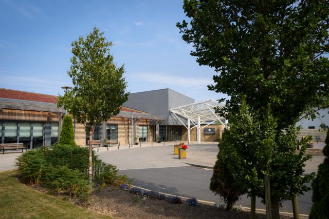 Dedicate a sunflower in memory of your loved ones - St Benedict's Hospice share image