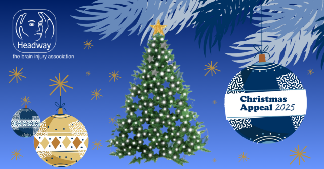 Headway UK Christmas Appeal Tree 2025 share image