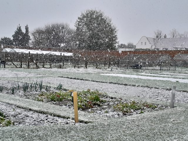 Donate to Decorate 2025 share image