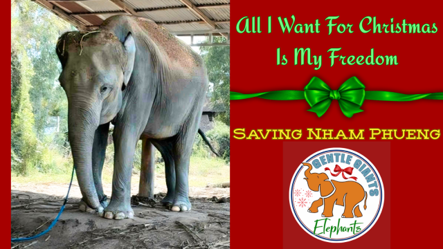 New Year - New Life share image