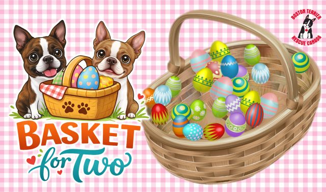 BTRC’s Basket for Two share image