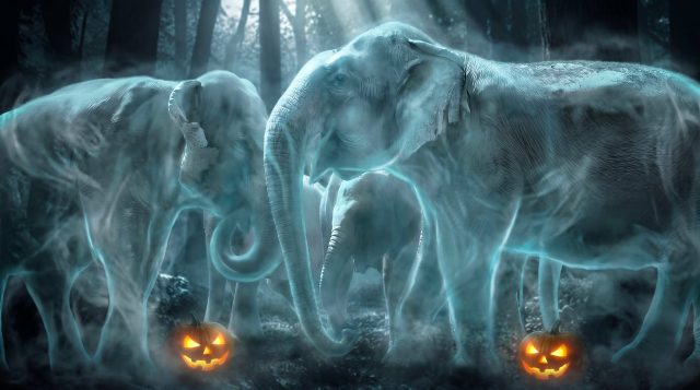 How Many GG Monsters Can We Feed? share image