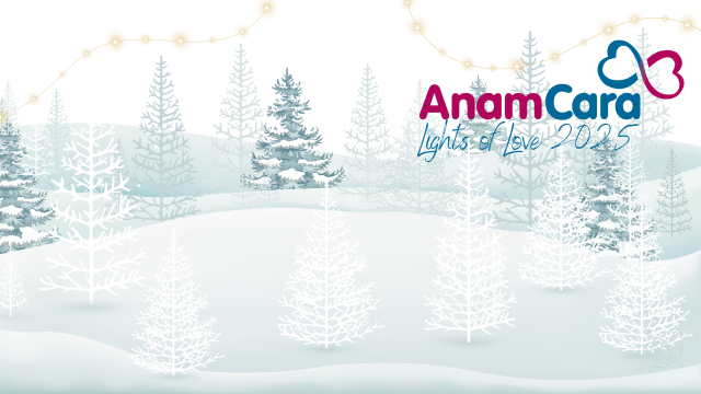 Anam Cara Lights of Love 2025 share image